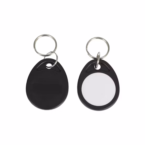 Imperméable à l'eau ABS Uid Proximité réinscriptible RFID ID IC Keyfob