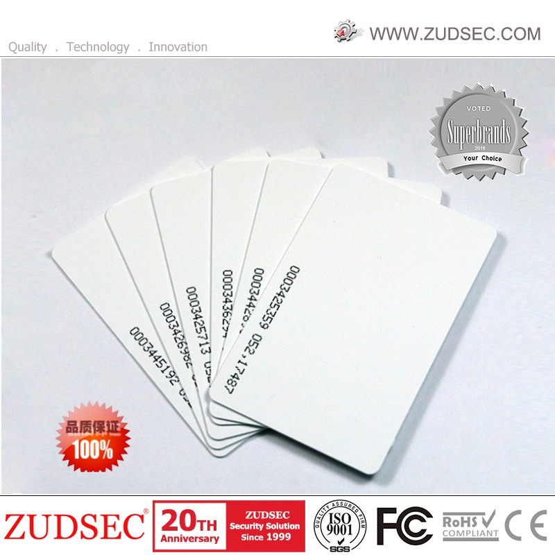 125kHz Chips ID Card RFID Tag /Key Fobs